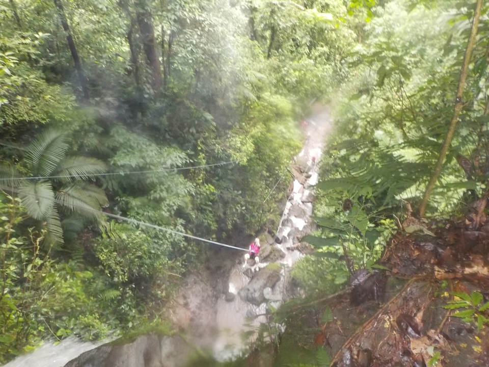 Misty rainforest adventure with people on a bridge.