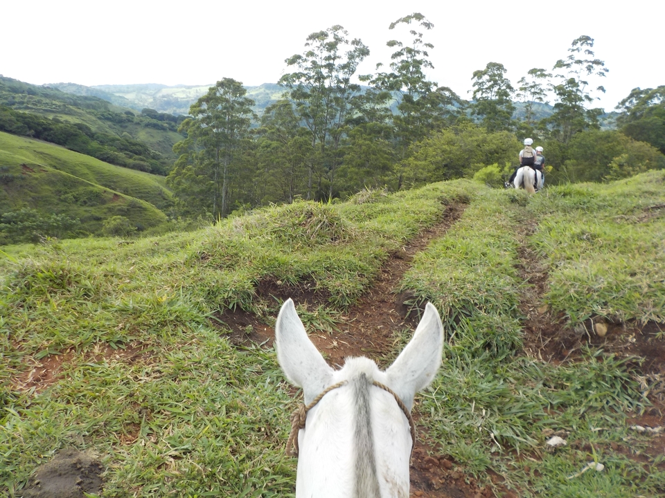 Horseback riding through a grassy path with rolling hills.