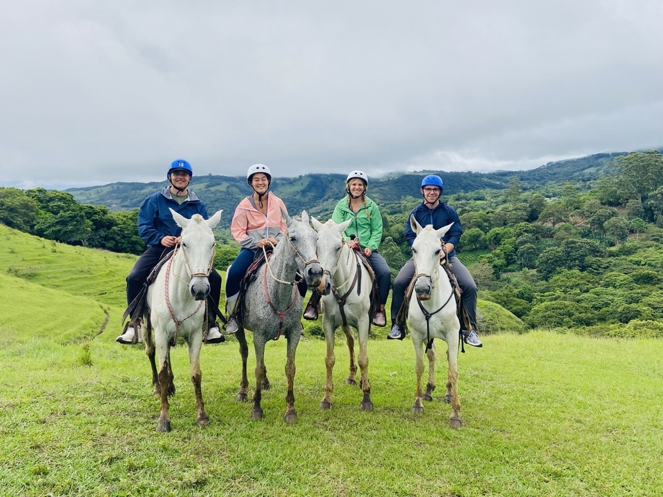 Four people on horseback in green hills.
