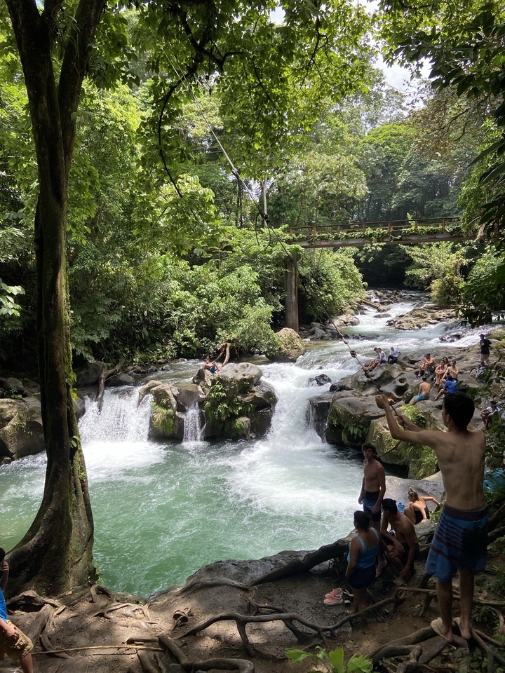 People near a waterfall in a lush forest.