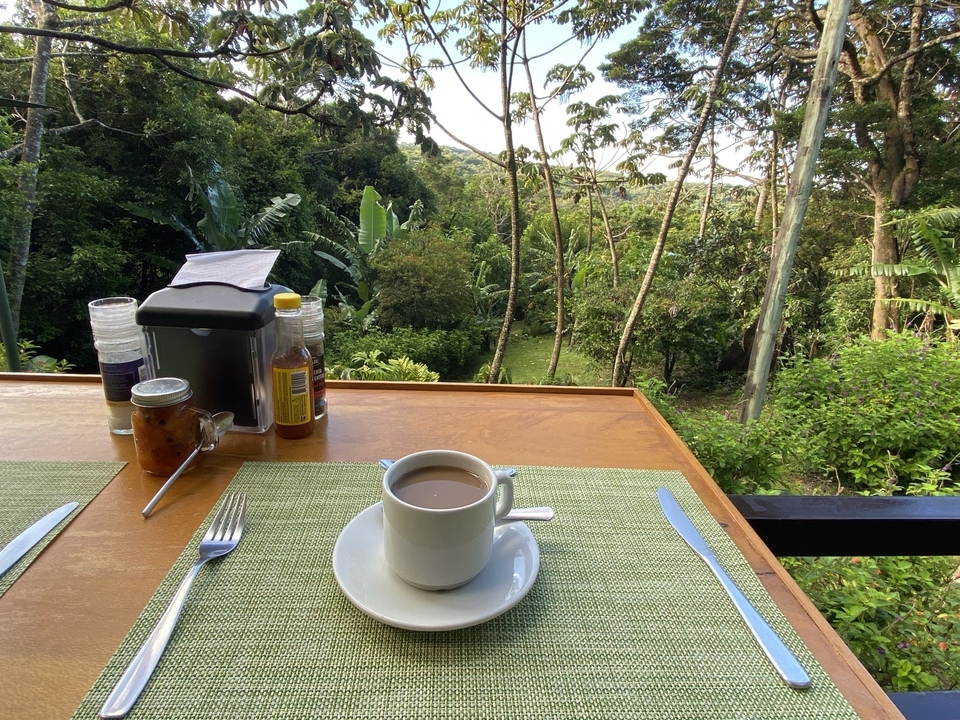 Table with a coffee cup, cutlery, surrounded by a forest view.