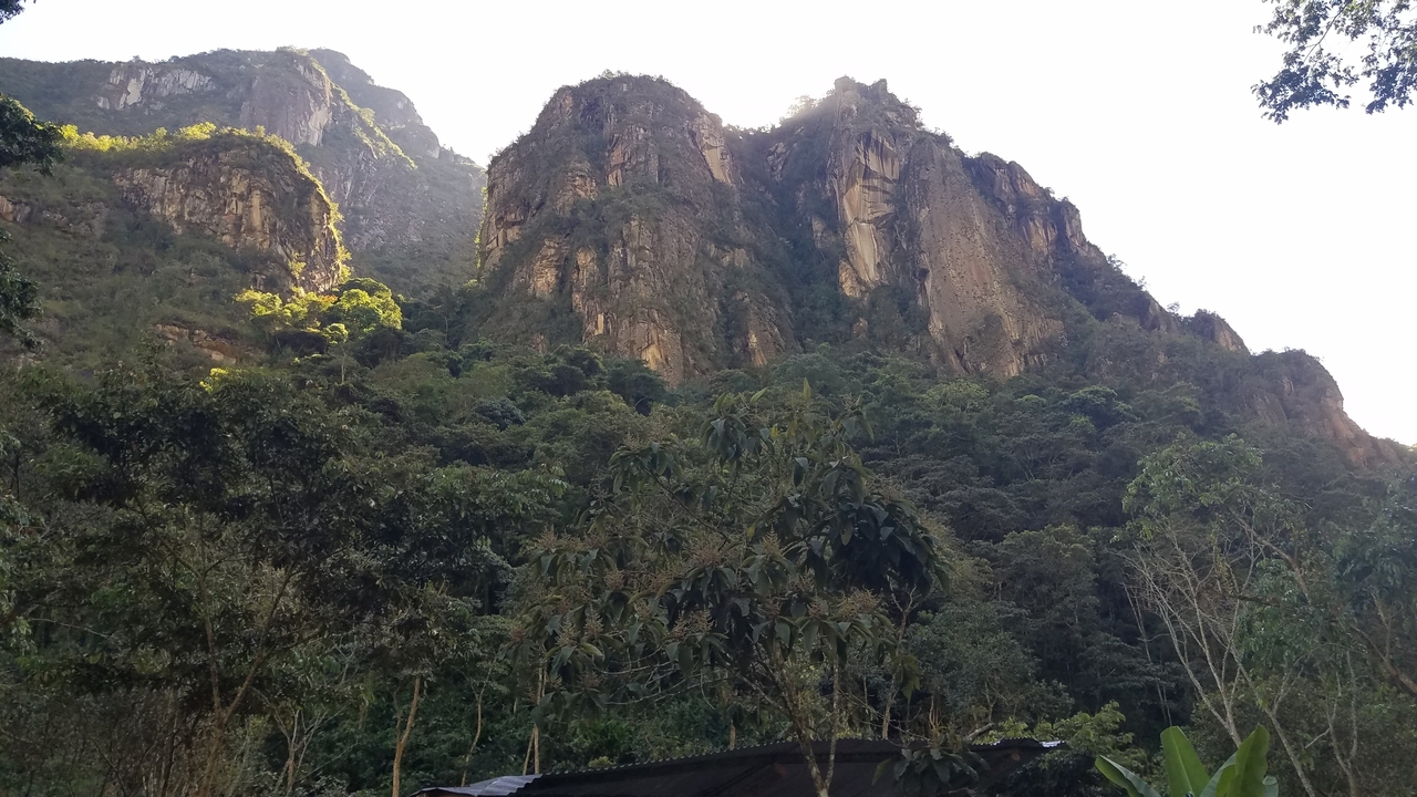Dense forest with large mountain peaks in the background.