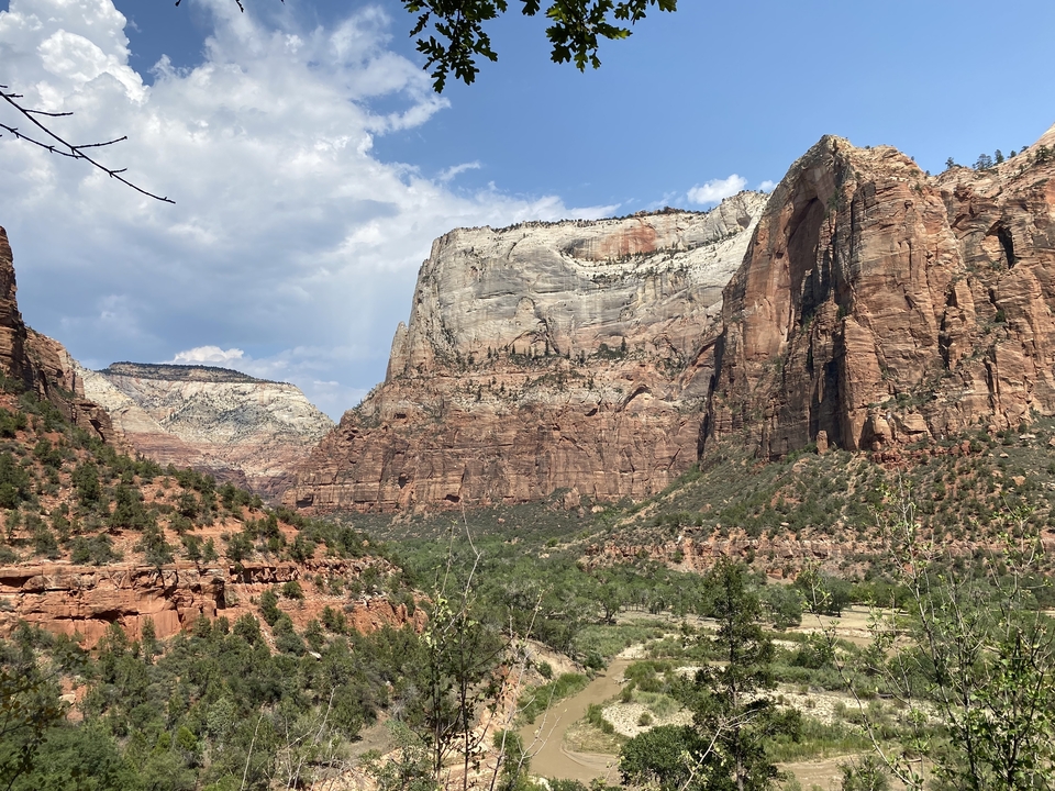Scenic view of Zion National Park with towering cliffs.
