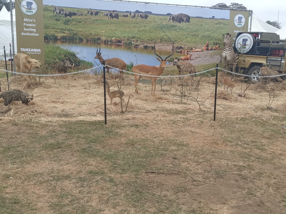 Animal figurines in a fenced area resembling a savannah.