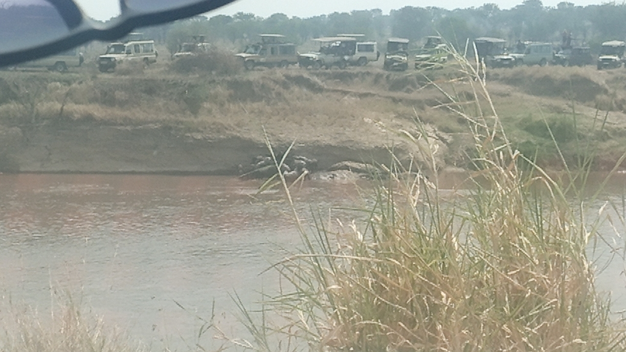 River crossing in the savannah with safari vehicles in the distance.