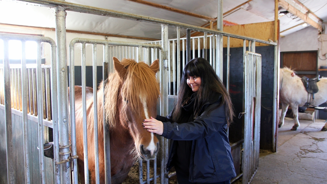 A woman petting a horse inside a stable.