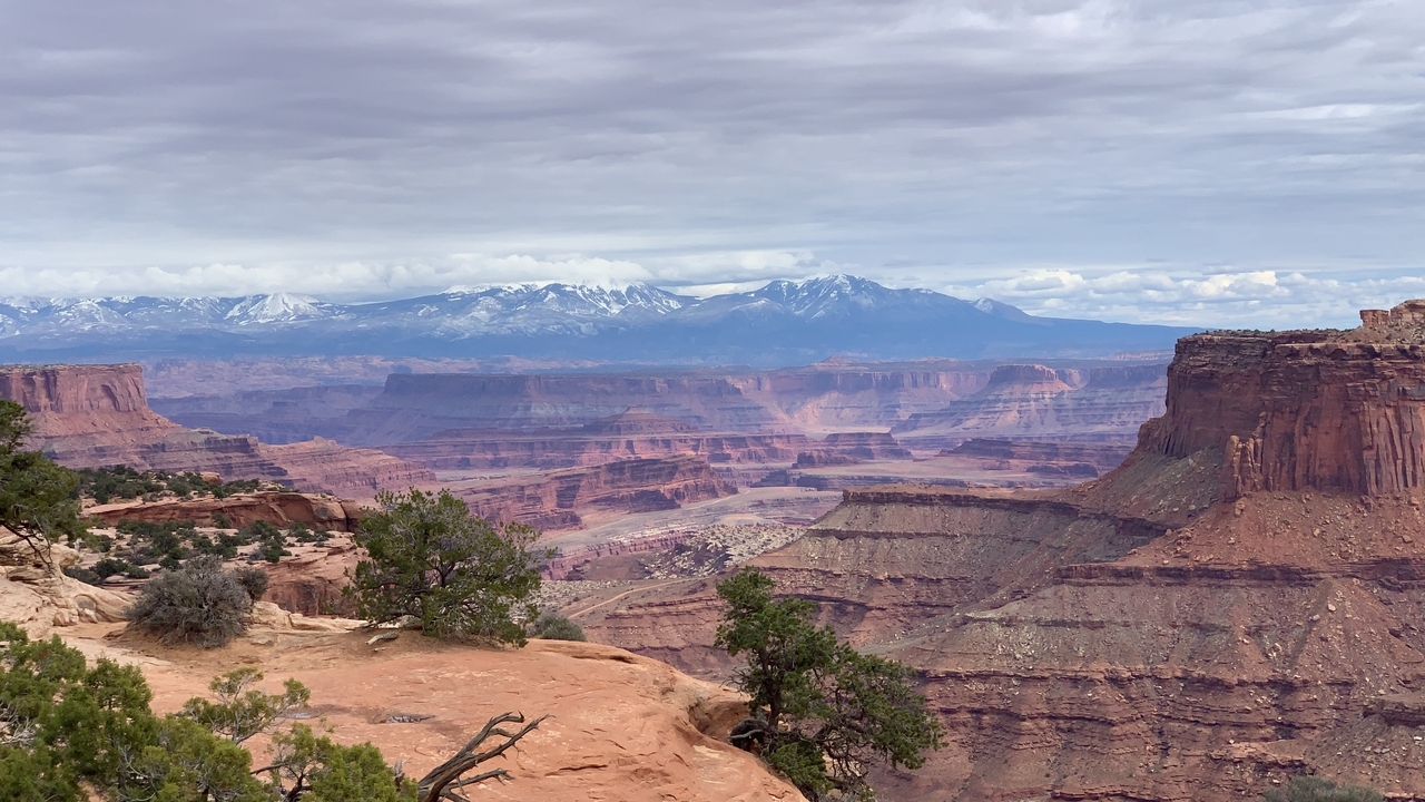 Canyon view with snow-capped mountains in the distance