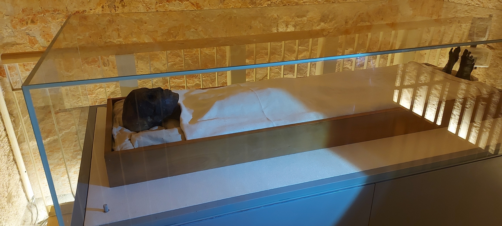 Mummified body in a glass display case.