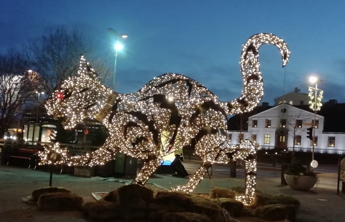 Illuminated sculpture of a cat made of lights during dusk.
