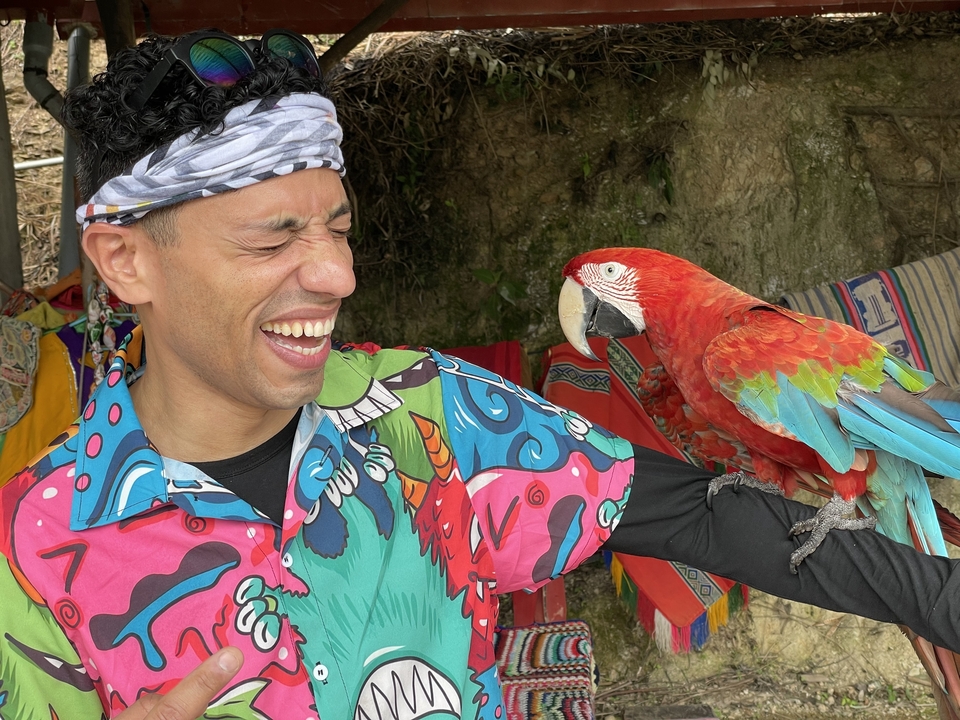 Person laughing with a colorful parrot on their arm.