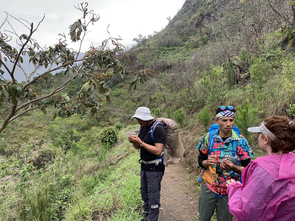 Three people taking a break while hiking through a forested path.