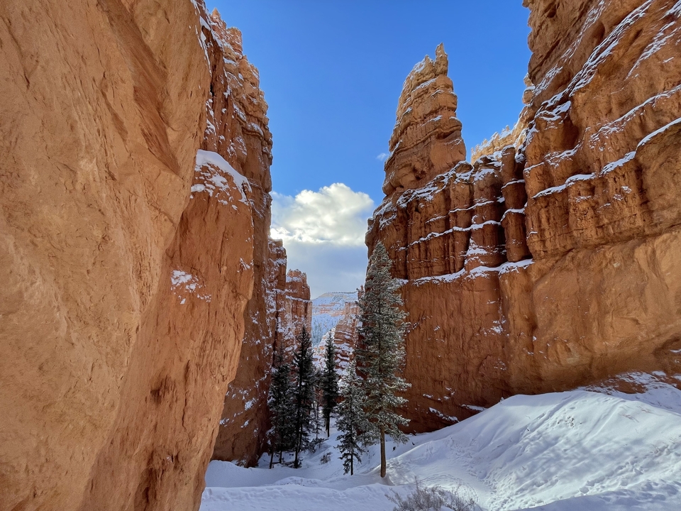 Snow-covered canyon walls under a bright blue sky.