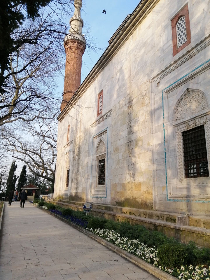 Detail of a domed mosque and a tree