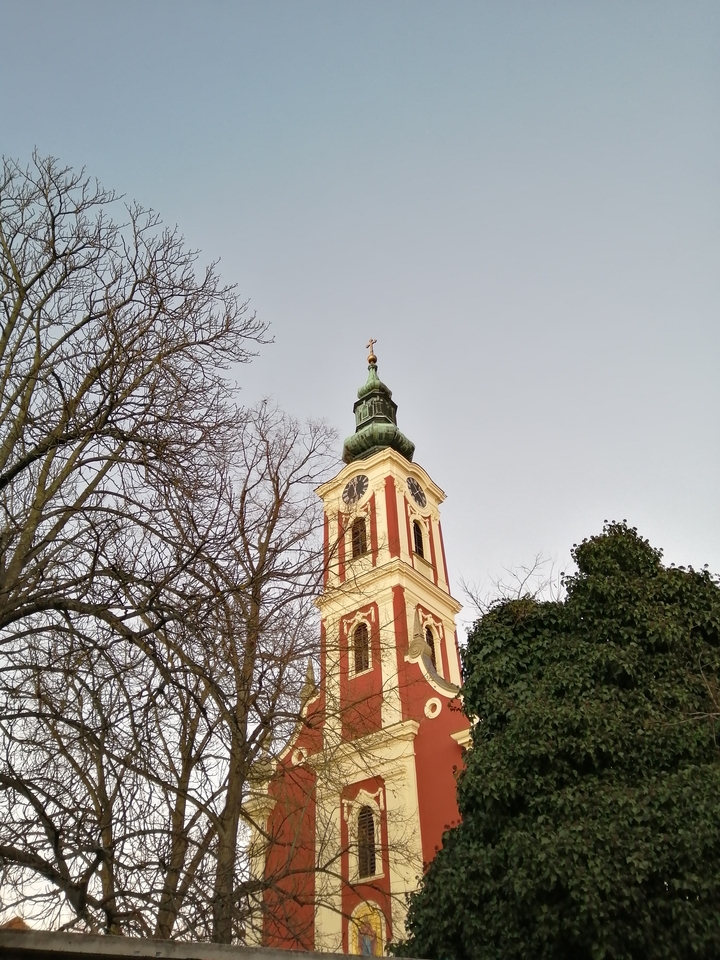 Clock tower next to bare trees