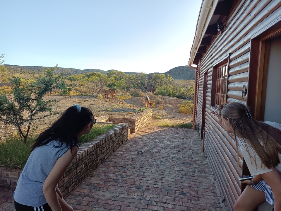 Two people peeking from a cabin towards deer in the distance.