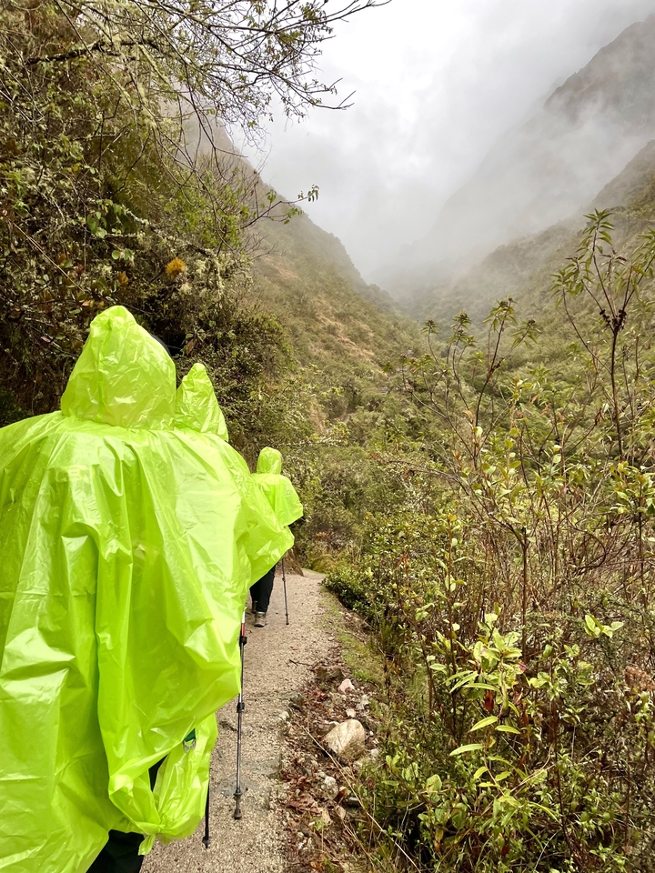 Hikers in bright ponchos walking on a trail.