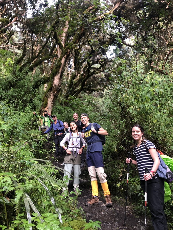 Group in a lush forest setting during a hike.