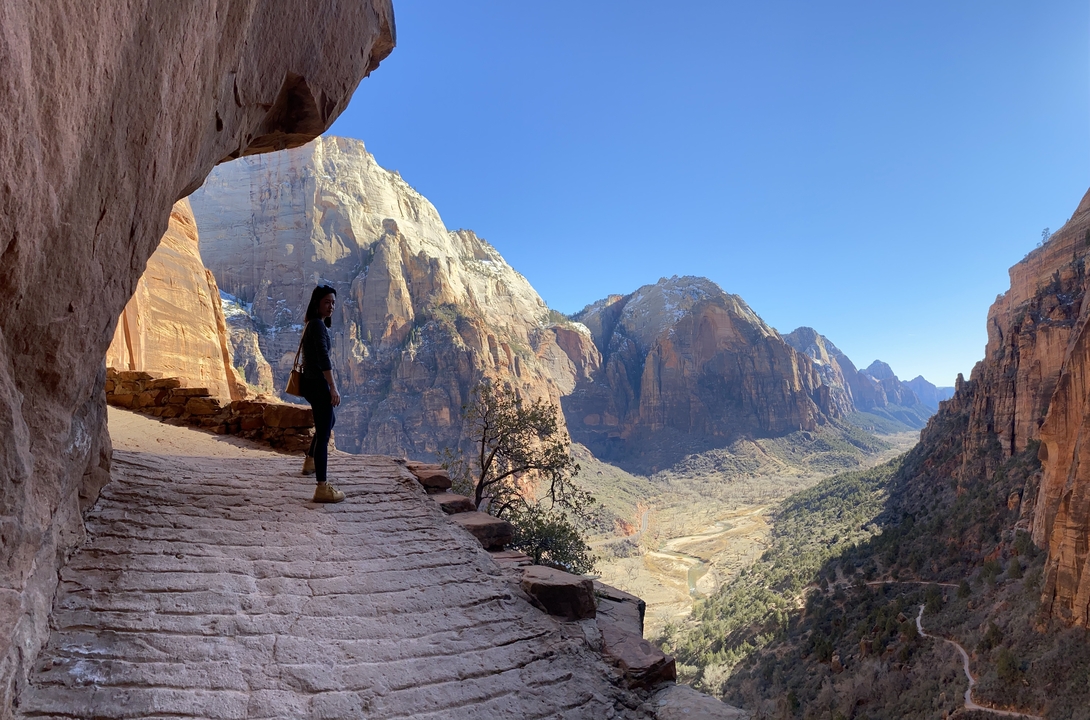 Person overlooking a canyon landscape.
