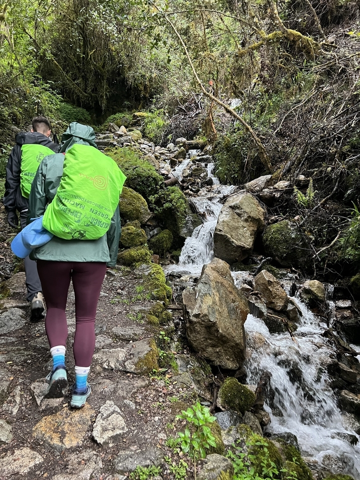 Hikers walking along a trail next to a small stream.