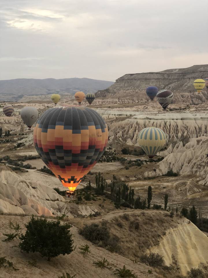 Montgolfières au-dessus d'une vallée aux formations uniques.