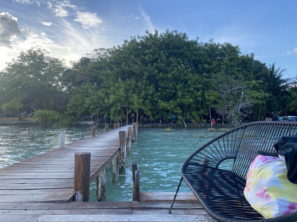 A wooden dock leading to lush greenery.