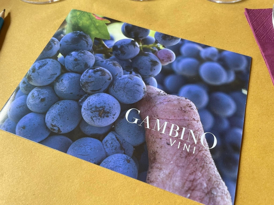 Brochure featuring grapes with the text 'Gambino Vini'.