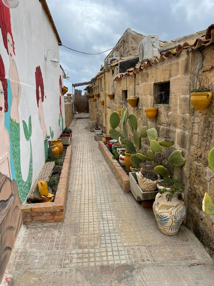Narrow alley with potted cacti and painted mural.