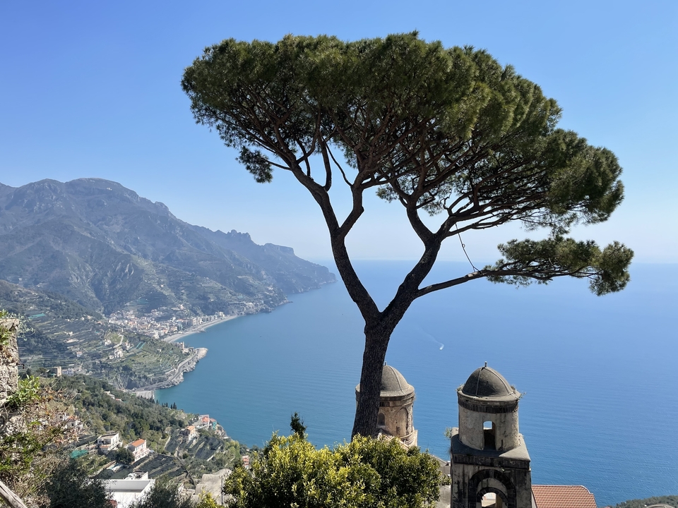 A scenic view of a coastline with mountains and a tree.