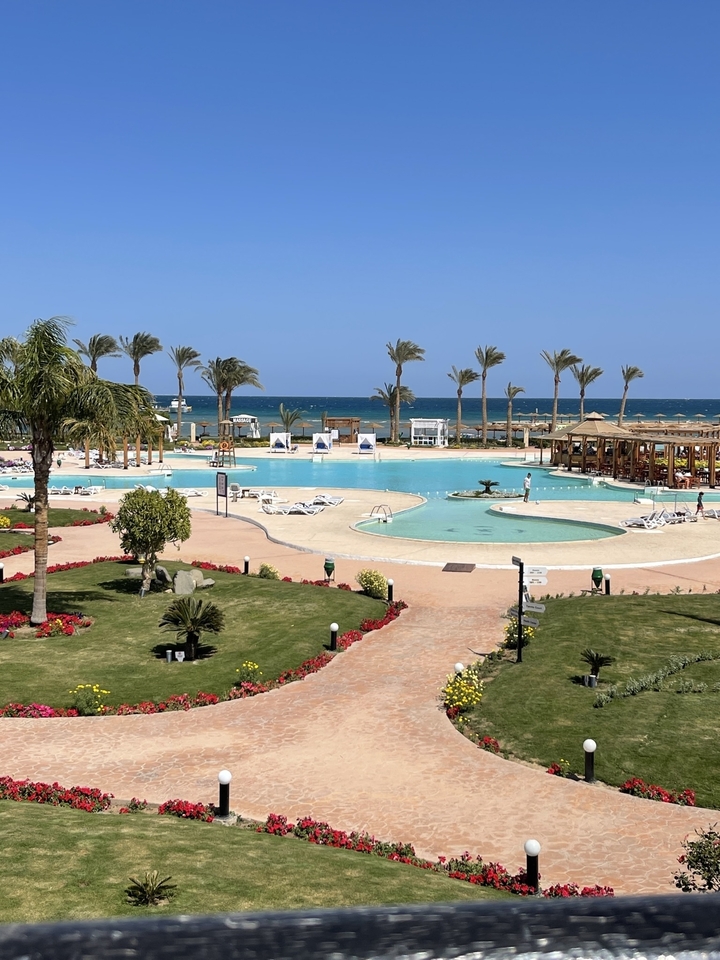 Luxurious poolside with palm trees and beach view.