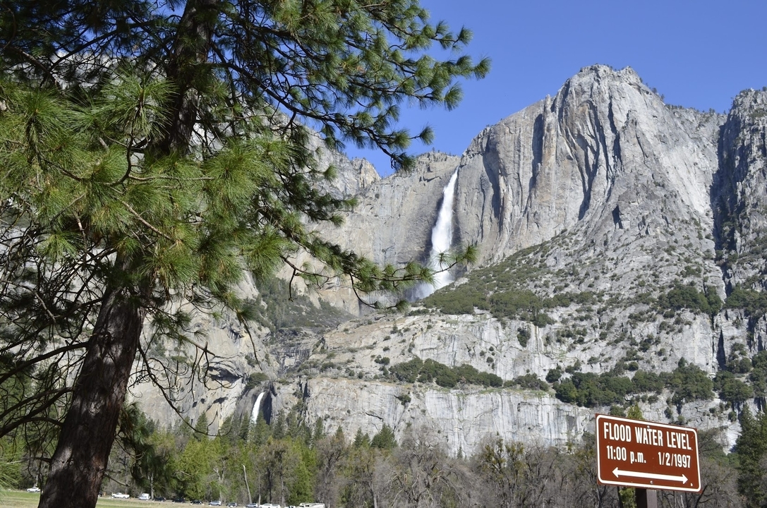 Vue panoramique de la cascade de Yosemite avec des arbres au premier plan.