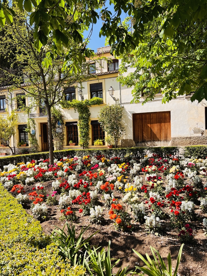 Colorful flower beds in front of charming buildings