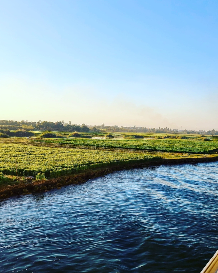 View of lush green fields beside a river.