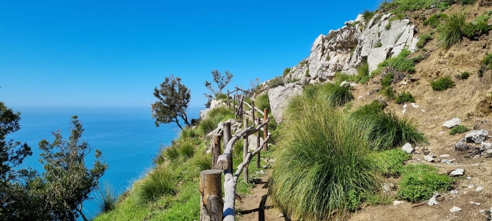 Sentier pittoresque au bord de la falaise avec vue sur l'océan et ciel dégagé.