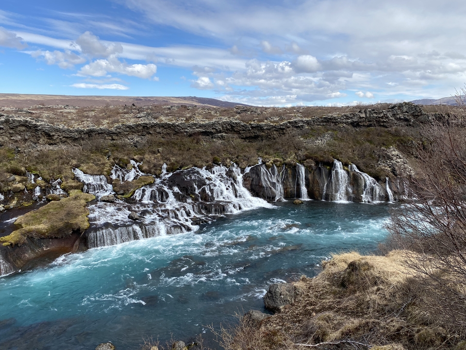 Hraunfossar waterfalls flowing over lava rocks.
