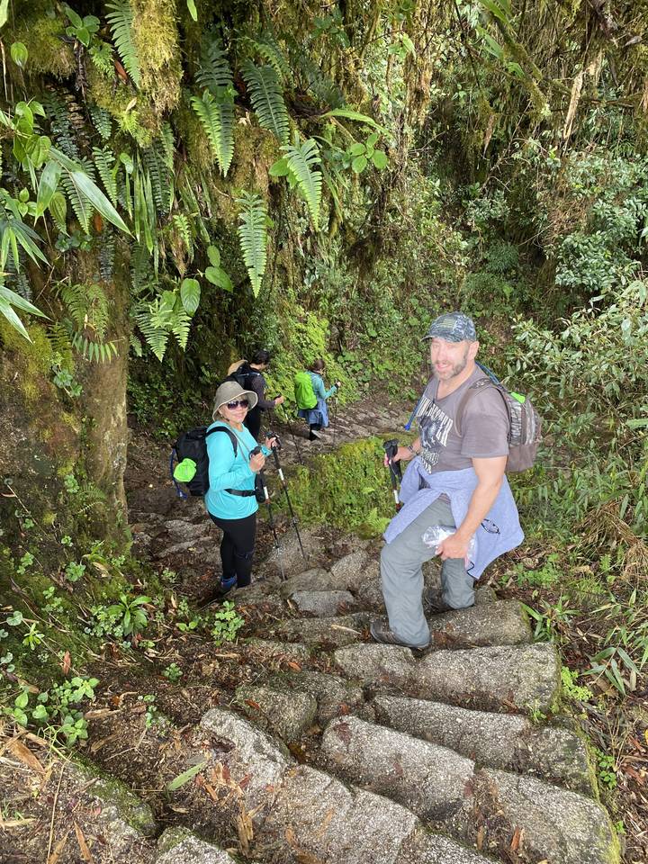 Hikers climbing stone stairs in a forest area.