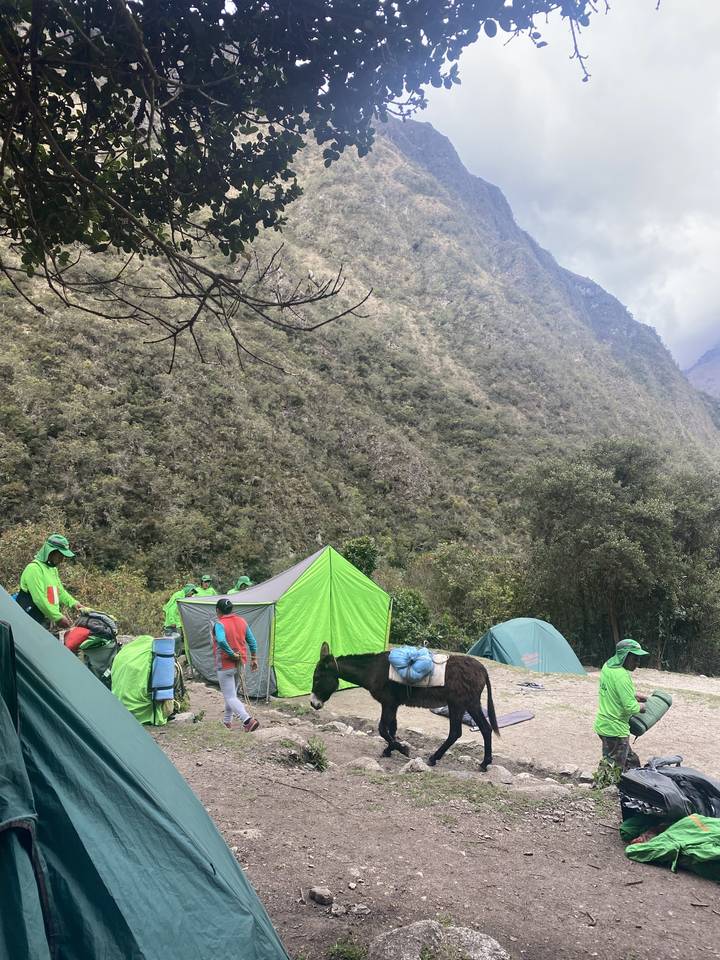 A campsite in the mountains with people, tents, and a mule.