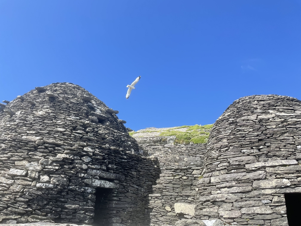 Ancient stone huts with a bird flying overhead.