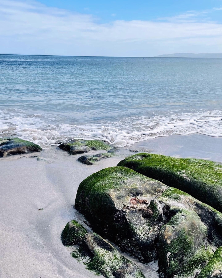 Close-up of a sandy beach with waves and mossy rocks