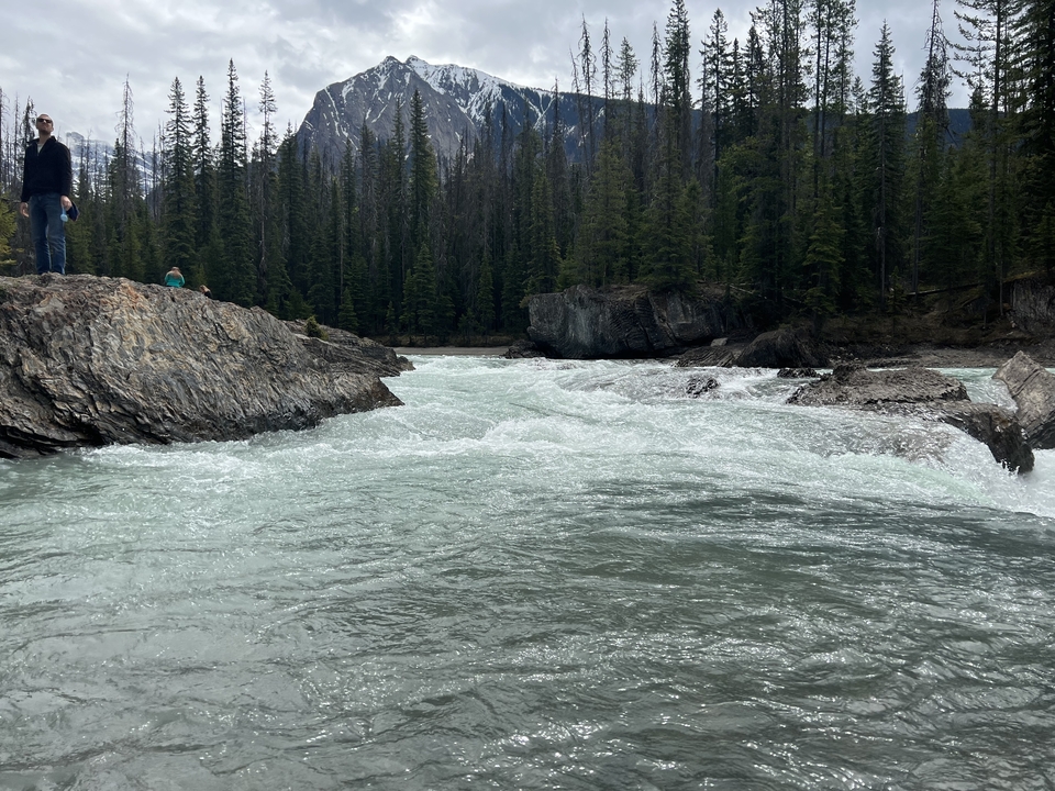 Une rivière qui coule à travers une forêt avec des gens sur les rochers.