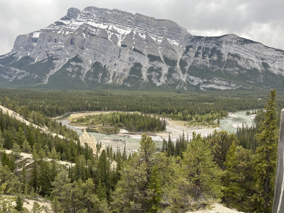 Une rivière pittoresque entourée de forêts de conifères et de montagnes.
