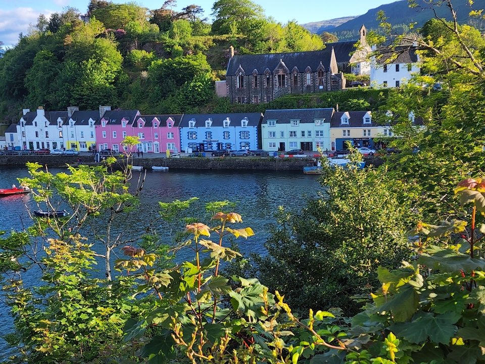 Colorful houses lining a waterfront with greenery.