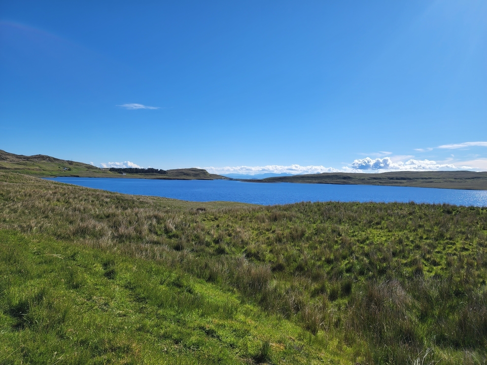 A grassy landscape with a bright blue lake.