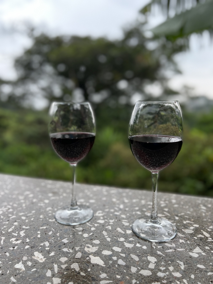 Two wine glasses with red wine