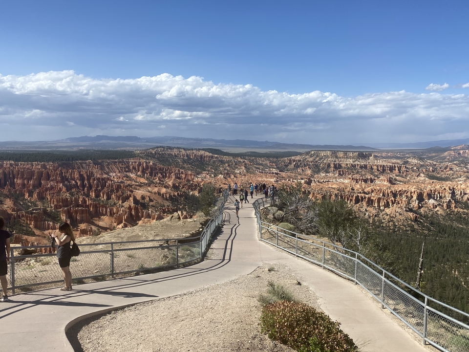 Visitors enjoying the view along the rim of a canyon with pine trees.