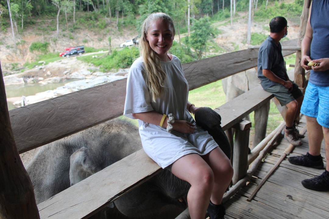 Une personne assise sur une structure en bois avec une trompe d'éléphant visible.