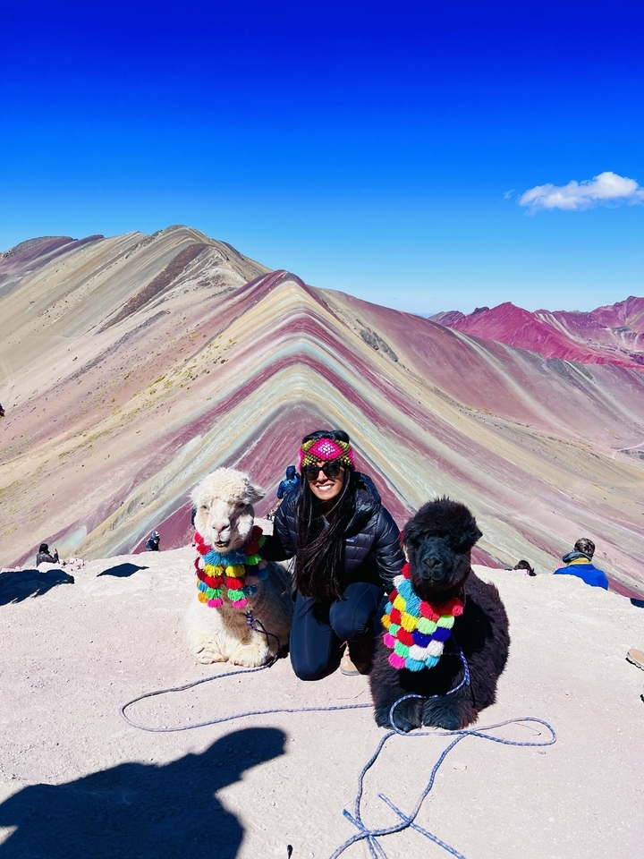Person posing with two alpacas at Rainbow Mountain.