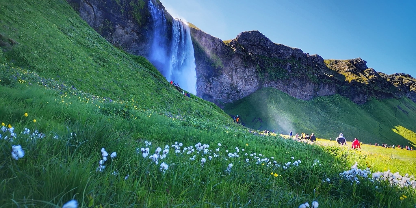 Cascade tombant d'une falaise avec des fleurs au premier plan