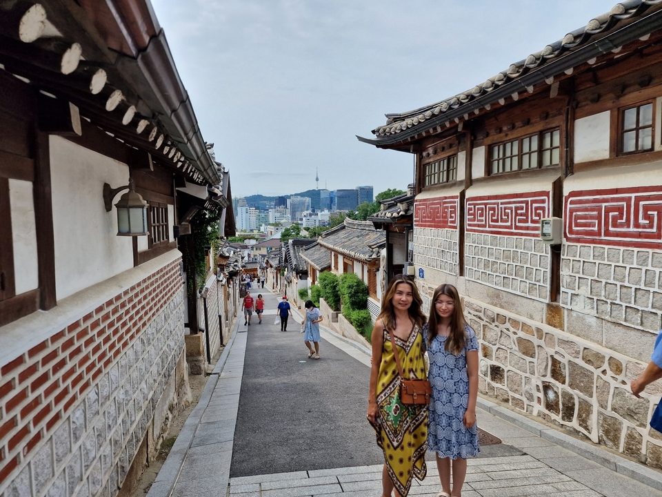 Traditional Korean street with distant city skyline.