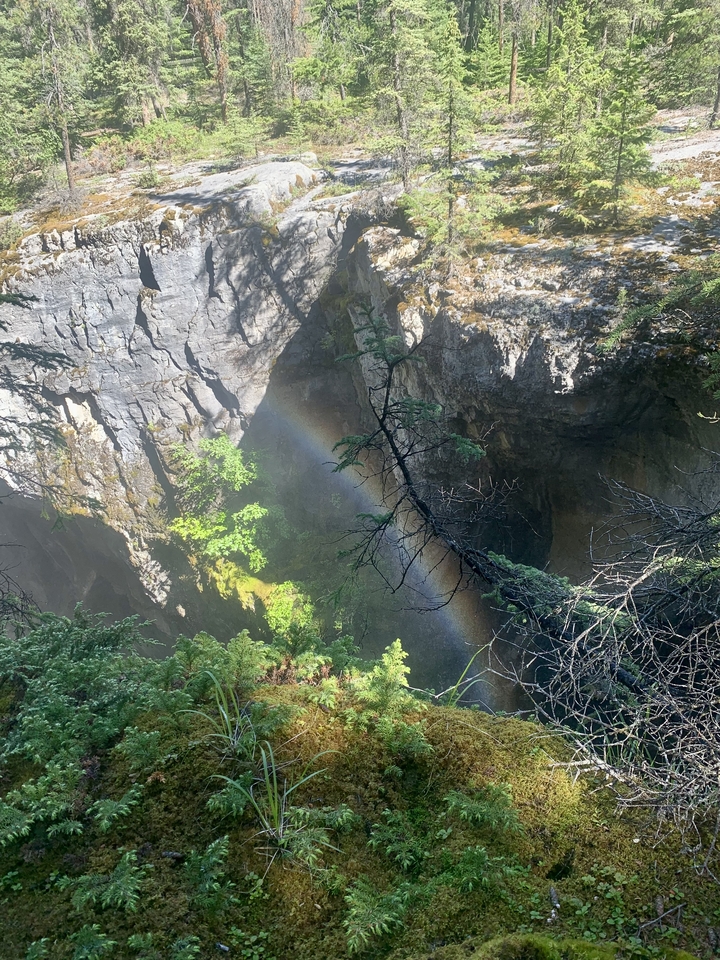 Rainbow over a forested canyon with sunlight