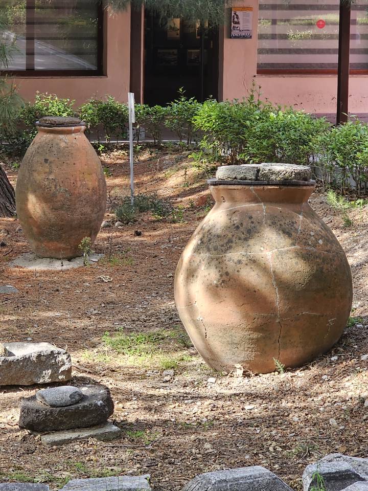 Grands pots en argile dans un cadre de jardin.
